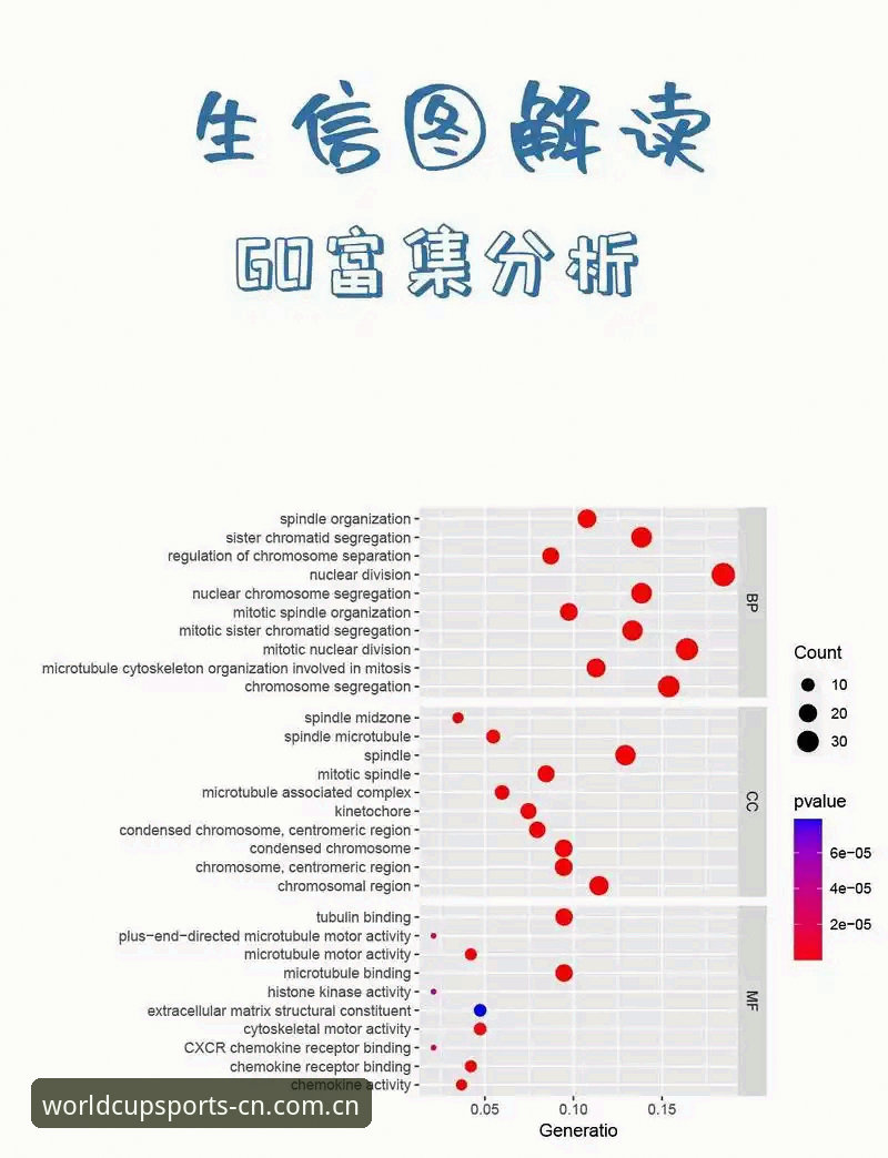 赛布尔自由市场前景详解